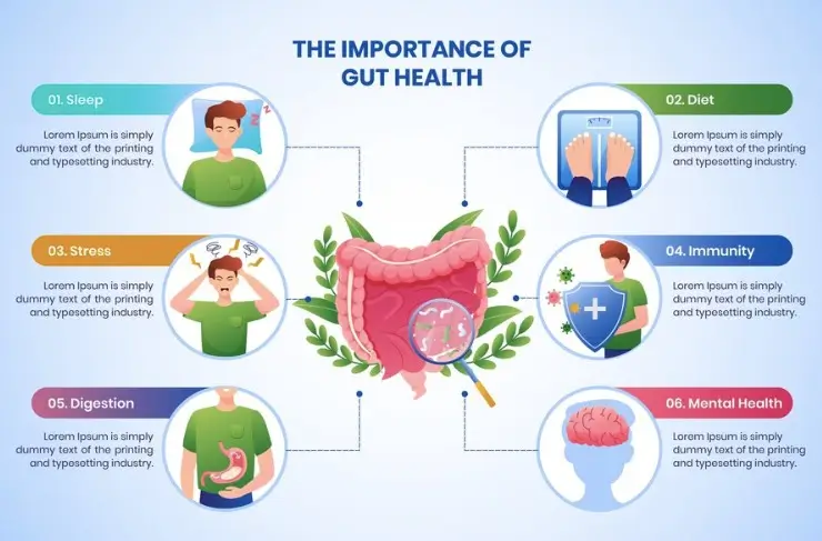 Gut Health and Thyroid Function: Understanding the Connection.