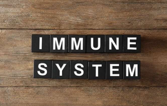Exploring the Gut-Immune System Axis: How Gut Health Affects Immune Function.