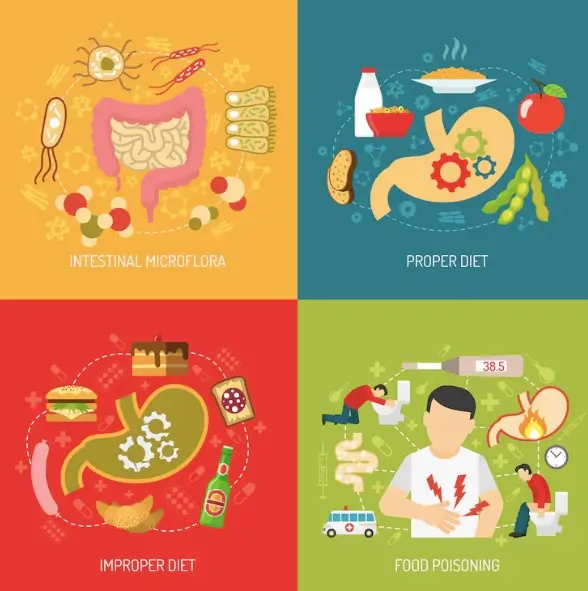 The Impact of Environmental Factors on Gut Health: How Lifestyle and Environmental Exposures Influence Digestive Wellness
