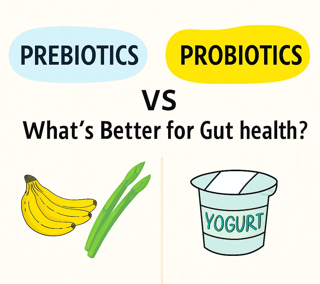 Prebiotics vs Probiotics: Complete Guide to Benefits, Differences & Best Sources 2025