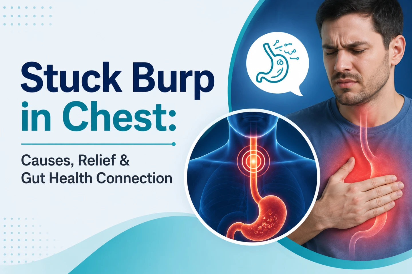 Stuck Burp in Chest: Causes, Relief & Gut Health Connection