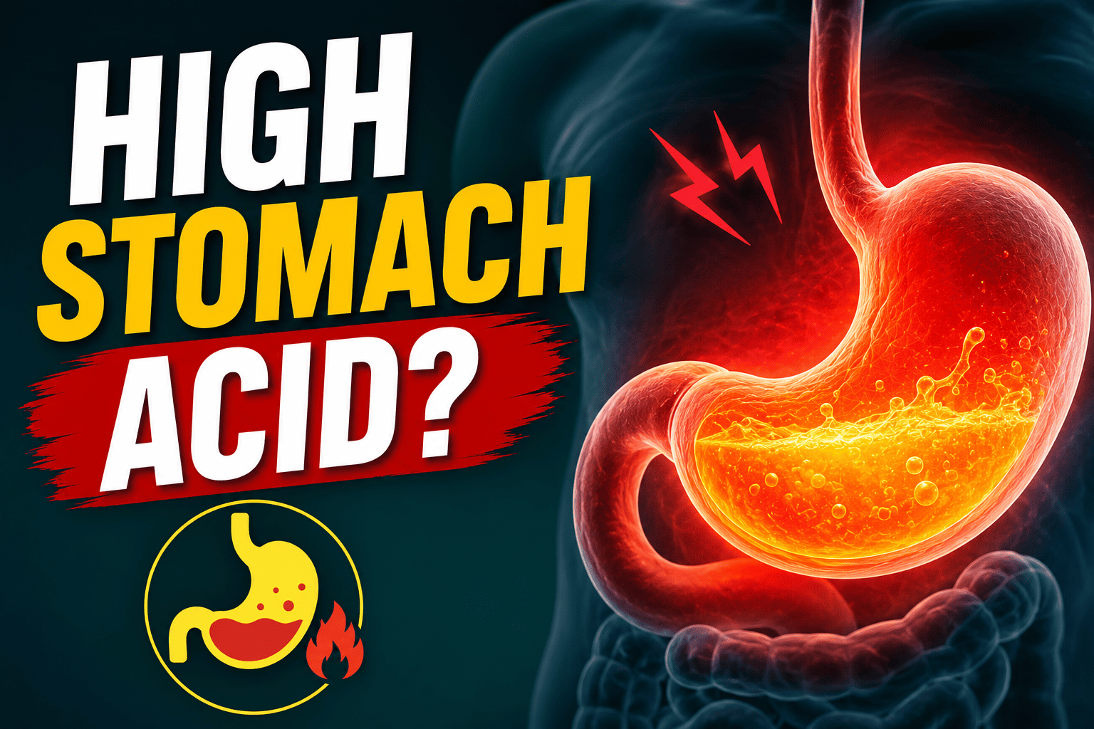 High Stomach Acid Symptoms- Causes, and How to Lower It Naturally